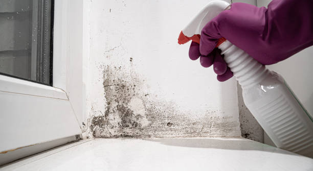 Best Water damage restoration cost  in Cheswick, PA